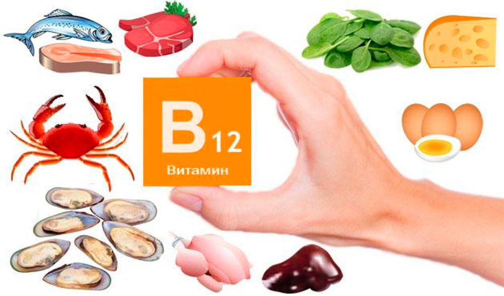 В каких продуктах содержится витамин B12