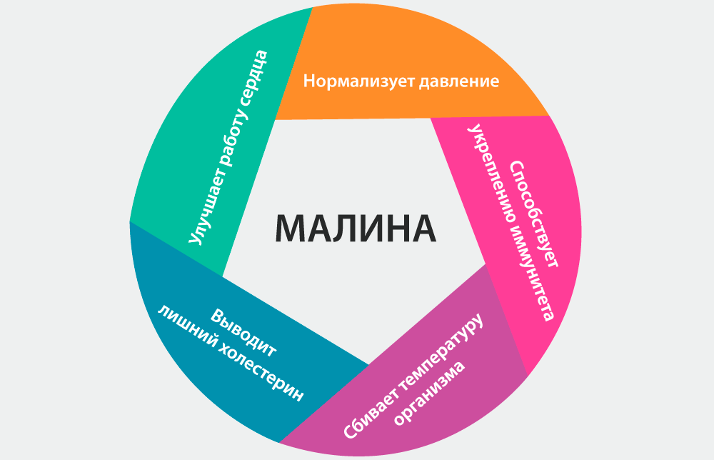 какая польза от малины