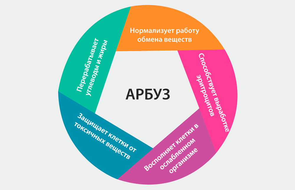 Полезные свойства арбуза